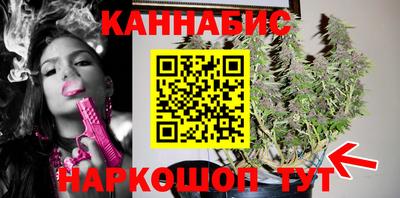 скорость Новозыбков