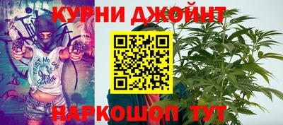 mdpv Новодвинск
