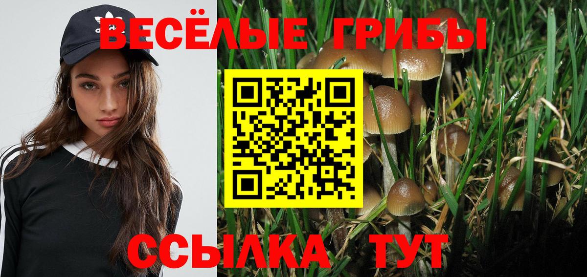 где продают   Псилоцибиновые грибы мухоморы  Вход с VPN  Учалы 