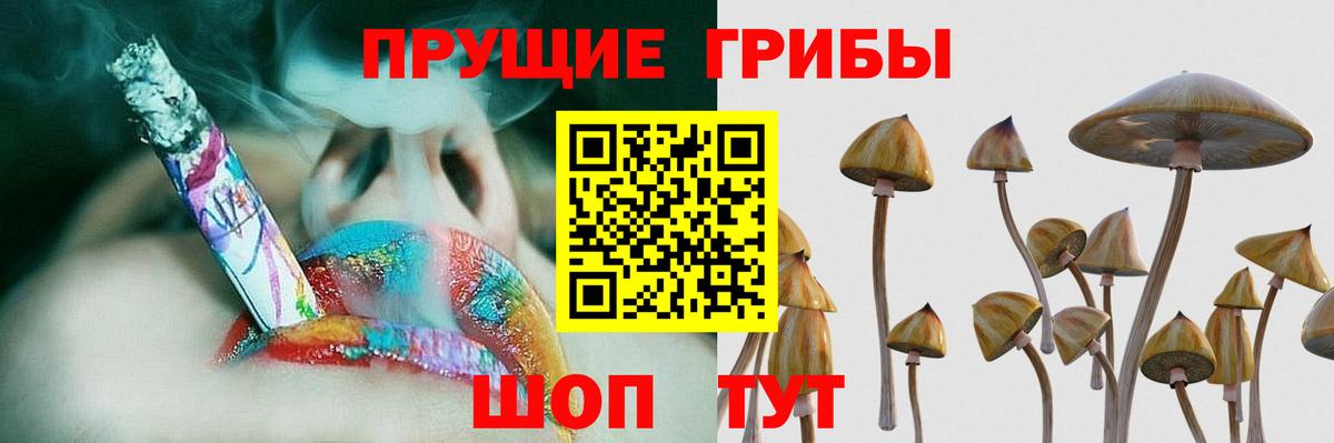 Галлюциногенные грибы Psilocybine cubensis Учалы